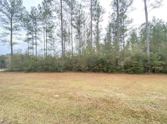 0 Paperwood Rd Unit 16001422, Chunchula, AL 36521