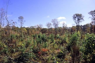 2432 Hunts Chapel Rd, Sparta, GA 31087