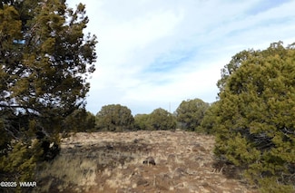 10 County Rd, Vernon, AZ 85940