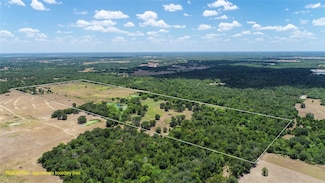 5380 County Road 132 - 81 Acres, Somerville, TX 77879