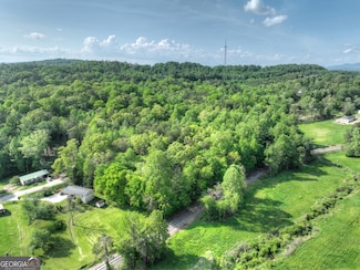 6.74 Doxol St, Blue Ridge, GA 30513