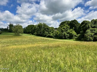 Tbd Reynolds Rd, Elizabethton, TN 37643