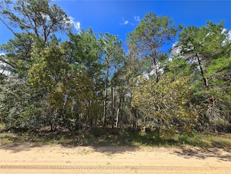 0 Selma Unit MFRTB8316267, Interlachen, FL 32148