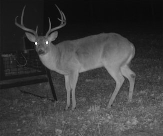 2210 Old Wichita Hwy, Ringgold, TX 76255