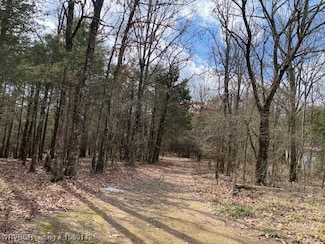 TBD Pawpaw Branch Rd, Chester, AR 72934