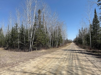 Tbd Sethers Rd Unit lotWP001, Orr, MN 55771