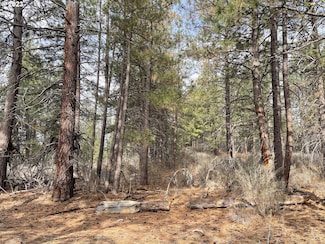 0 S Waterview Way Unit 6 23408492, Chiloquin, OR 97624