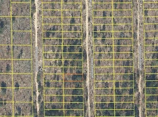 0 Iowa Ave Unit MFRO6277625, Hawthorne, FL 32640