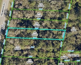8388 Treiman Blvd, Webster, FL 33597
