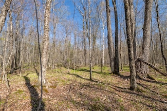 0 N Olson Rd Unit 1591407, Lenroot, WI 54843
