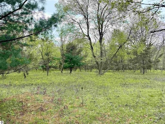 Parcel D Rosted Rd, Lake City, MI 49651
