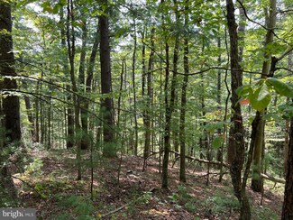 0 Spruce Ln Unit VASH2009370, Mount Jackson, VA 22842