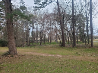 Lot 12 Thornton St, Trinity, TX 75862