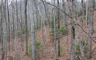 11 Thunder Rd, Hayesville, NC 28904