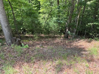ot 3 Honeysuckle Dr, Blairsville, GA 30512