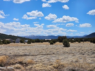 12 N 3132, Vernon, AZ 85940