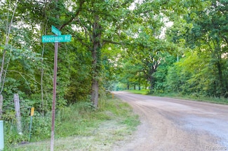 00TBD Hagerman Rd, Addison Township, MI 48367