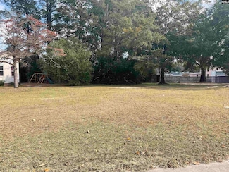 0 Bridge St, Bamberg, SC 29003