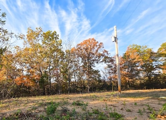 000 County Road 604, West Bridges Township, MO 65655