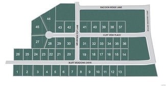 0 Xxx Bluff Meadows Dr Unit 22076999, Valmeyer, IL 62295