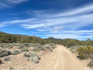 TBD P 16 Pine Nut Mountains (68), Gardnerville, NV 89410