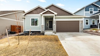 13461 Savannah Falls Ct, Peyton, CO 80831