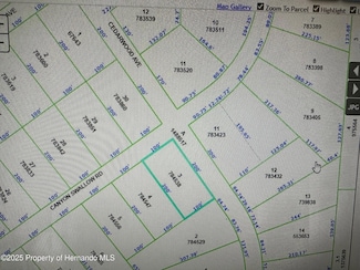 0 Cedarwood Ave Unit 2253525, Weeki Wachee, FL 34613