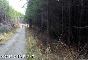 L6 B11 Valley Rd, Remote, AK 99950