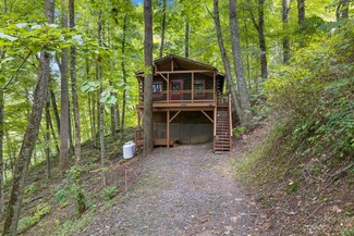 59 Granny Shepherd Rd, Mars Hill, NC 28754