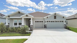 6115 Hidden Branch Dr, Apollo Beach, FL 33572