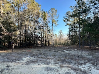 1873 Wild Turkey Dr, Gibson, GA 30810
