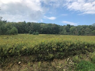 4230 Humphrey Rd, Great Valley, NY 14741