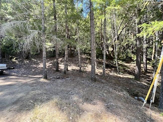 24858 Clover Rd, Brooktrails, CA 95490