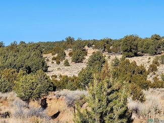 TBD Ponderosa Ranches Trail, Pie Town, NM 87827