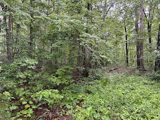 n/a Panther Branch Rd, Jamestown, TN 38556