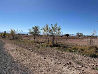 TBD Lot 11 2625 Ln, Cedaredge, CO 81413