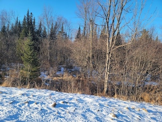 ON Luds Ln, Loretta, WI 54896