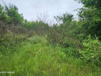 0 Burlington Turnpike, Towanda, PA 18848