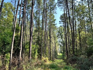 Tract B Welch Ln, Kentwood, LA 70444