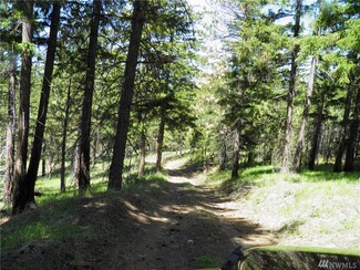 0 Potato Creek Heights Fsr 5330 Rd Unit 955443, Entiat, WA 98822