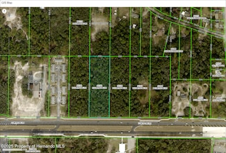 0 Cortez Blvd Unit 2251396, Dade City, FL 33523