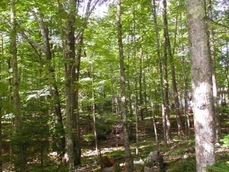 ON Hwy 155 Unit Lot 3, Saint Germain, WI 54558