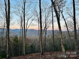 75 Raccoon Run Unit 22, Marshall, NC 28753