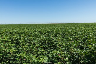 TBD Cr 1691, O'Brien, TX 79521