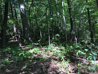 Lot #72 Marshall Ridge Rd, Edneyville, NC 28792