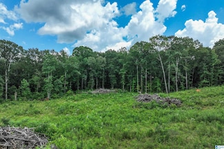 1215 County Road 77 Unit 4, Columbiana, AL 35051