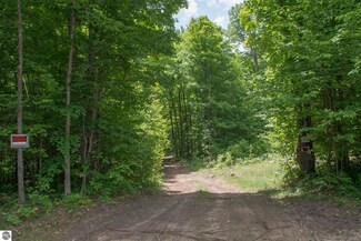 0 Primrose Trail Unit 1901233, Fife Lake, MI 49633