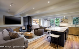 1039 E Cooper Ave Unit 14A, Aspen, CO 81611