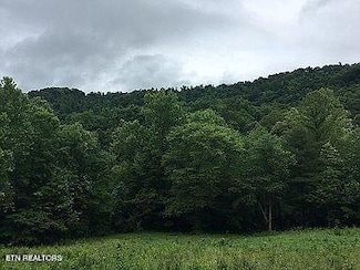 0 Stanley Creek Rd Unit 1284806, Oneida, TN 37841