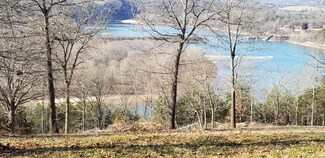 Tbd Lot 69 Point 15 Dr, Flat Creek A Township, MO 65624